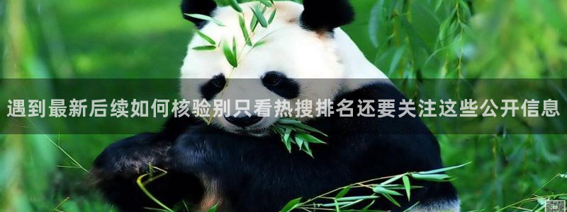 51吃瓜网最新入口:遇到最新后续如何核验别只看热搜排名还要关注这些公开信息