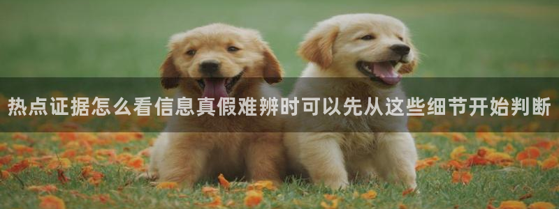 51吃瓜app下载:热点证据怎么看信息真假难辨时可以先从这些细节开始判断