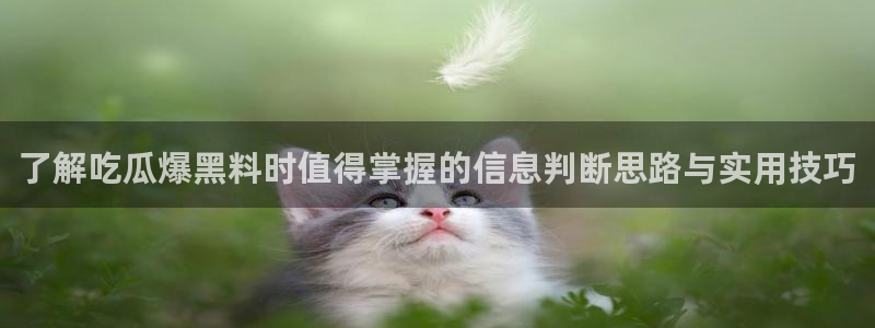 吃瓜在线