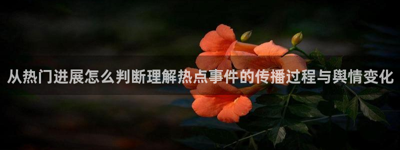 吃瓜视频网站:从热门进展怎么判断理解热点事件的传播过程与舆情变化